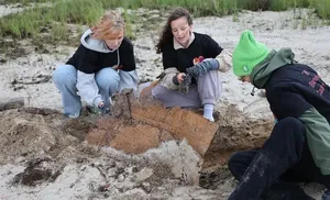 Участники «Чистых игр» собрали 61 тонну мусора