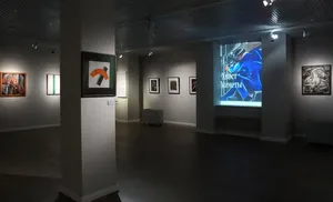 В главном музее Ямала открылась выставка "Хвост кометы"