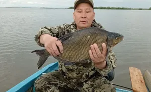 Воспитанный суровым Севером