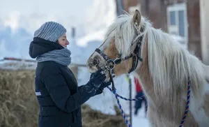 С высоты лошадиной спины. Вот уже шесть лет, как иппотерапия стала доступна салехардцам