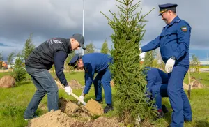 Добавили зелени в ямальской столице. И вырастили новое поколение эковолонтёров