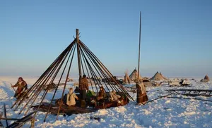 Ямалец стал победителем III Международной онлайн выставки-конкурса «Обитаемый остров: Земля»