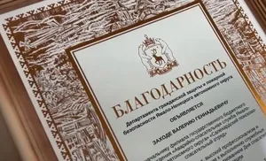 Наши спасатели!