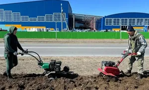 Совсем скоро  в Салехарде высадят около 200 саженцев цветов