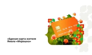 «Морошка» заменит электронные транспортные карты с 1 января 2024 года