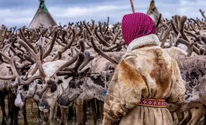 О Ямале написали в «Journal of Ethnobiology»