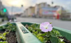 Коротко о важном