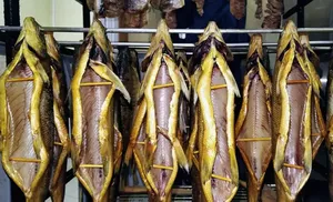 Салехардское предприятие получит субсидию на переработку рыбы