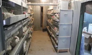 На Ямале меняется порядок предоставления субсидий предприятиям агропромышленного комплекса