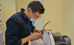 На Ямале определят лучших мастеров народных художественных промыслов и ремесел ﻿