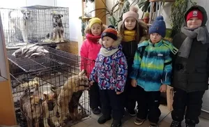 «Орлята-добровольцы» школы №4 посетили городской приют для бездомных животных