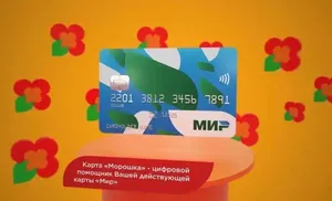 Сервис «Морошка» на Ямале удвоил свою популярность за год