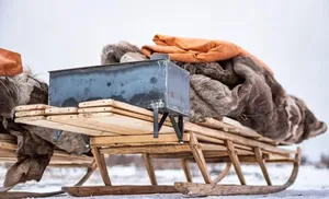 Ямал увеличил срок получения «чумового капитала»