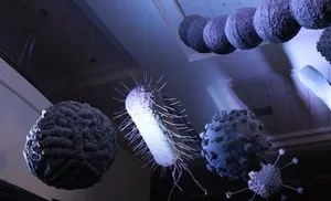 В главном музее Ямала открылась научно-популярная выставка «Люди и вирусы. Борьба за первенство мира»