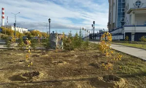 В городе на Полярном круге появилась аллея лесников