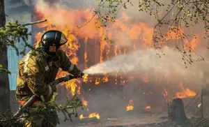 На Ямале введен режим чрезвычайной ситуации регионального характера в лесах
