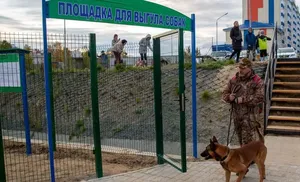 Контроль, намордник, поводок. Законодатели принимают меры защиты людей от животных и животных от людей