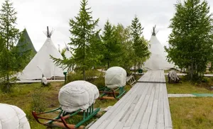 Прямая трансляция из чума стала доступна салехардцам