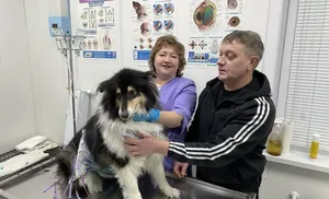 На Ямале подвели итоги ежегодной акции по стерилизации домашних питомцев