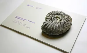 Главный музей Ямала представил новую тактильную коллекцию