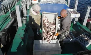 Летняя путина на Ямале набирает обороты