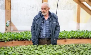 Для красоты и настроения. Этим летом Салехард вновь нарядится в живое разноцветье