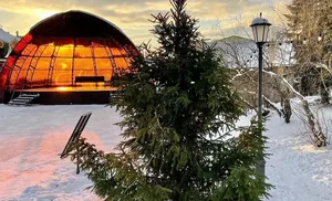 Салехардцев приглашают украсить ели городского сада