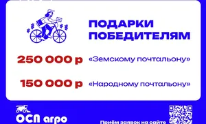 Лучший «Земский почтальон» получит 250 тысяч рублей, «Народный почтальон» – 150 тысяч