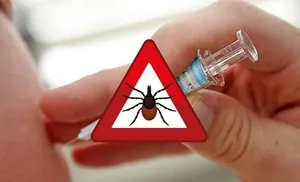 На Большой земле наступил сезон активности клещей. Северяне, отправляясь в отпуск, должны заранее позаботиться о вакцинации.