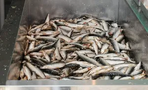 Агропредприятия округа получат господдержку