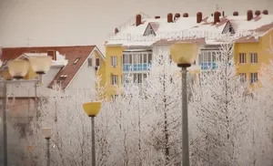 Ямало-Ненецкая природоохранная прокуратура информирует