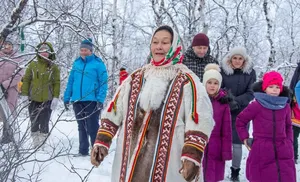 Под крылом Минлей