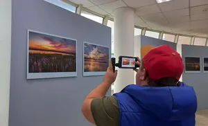 Иван-чай в тумане и молния над "Факелом"