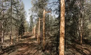 На территории 501 стройки приступили к восстановлению ограждения