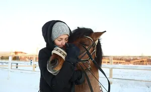 Конюшня Салехарда ищет добровольцев-коноводов