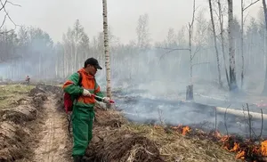 Подведены предварительные итоги пожароопасного сезона