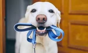 Ямальские законодательные инициативы поддержали на федеральном уровне