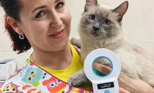 Цифровой паспорт для питомцев: на Ямале запускают единую систему ветеринарного учета