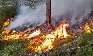 На Ямале увеличилось количество пожаров
