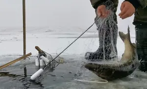 39-летнего жителя Салехарда приговорили к 150 часам обязательных работ