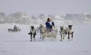 Поддержали земляков В оленьей «Формуле-1» первыми пришли Николай и Лев