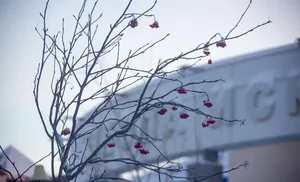 Коротко о важном