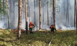 На Ямале ликвидированы все природные пожары