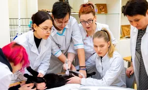 В Ямальском многопрофильном колледже будет внедрено несколько новых специальностей