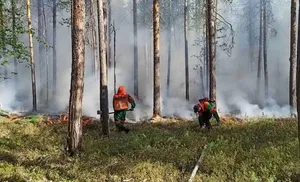 На Ямале ликвидированы все крупные пожары