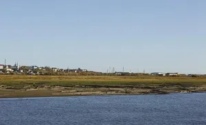 Впервые сельские предприниматели смогут получить компенсацию за проект в сфере потребительского рынка