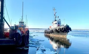 Сегодня на переправе Салехард-Лабытнанги работают пять паромов