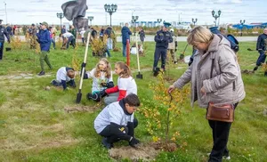 В Салехарде около 2 000 новых деревьев и кустарников украсят город