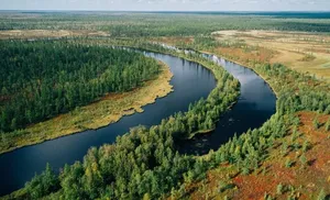 Ямал победил природную стихию