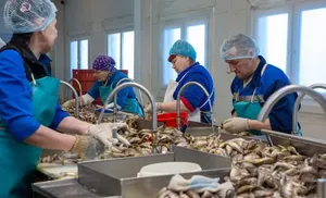 Агропром Ямала ждет новая поддержка